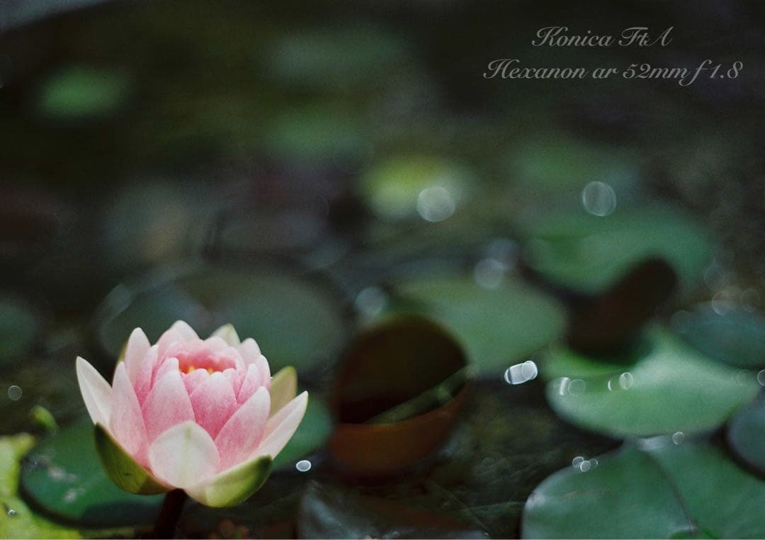 ★完動品＊美品★コニカfta／hexanon 52mm f1.8★初期保証