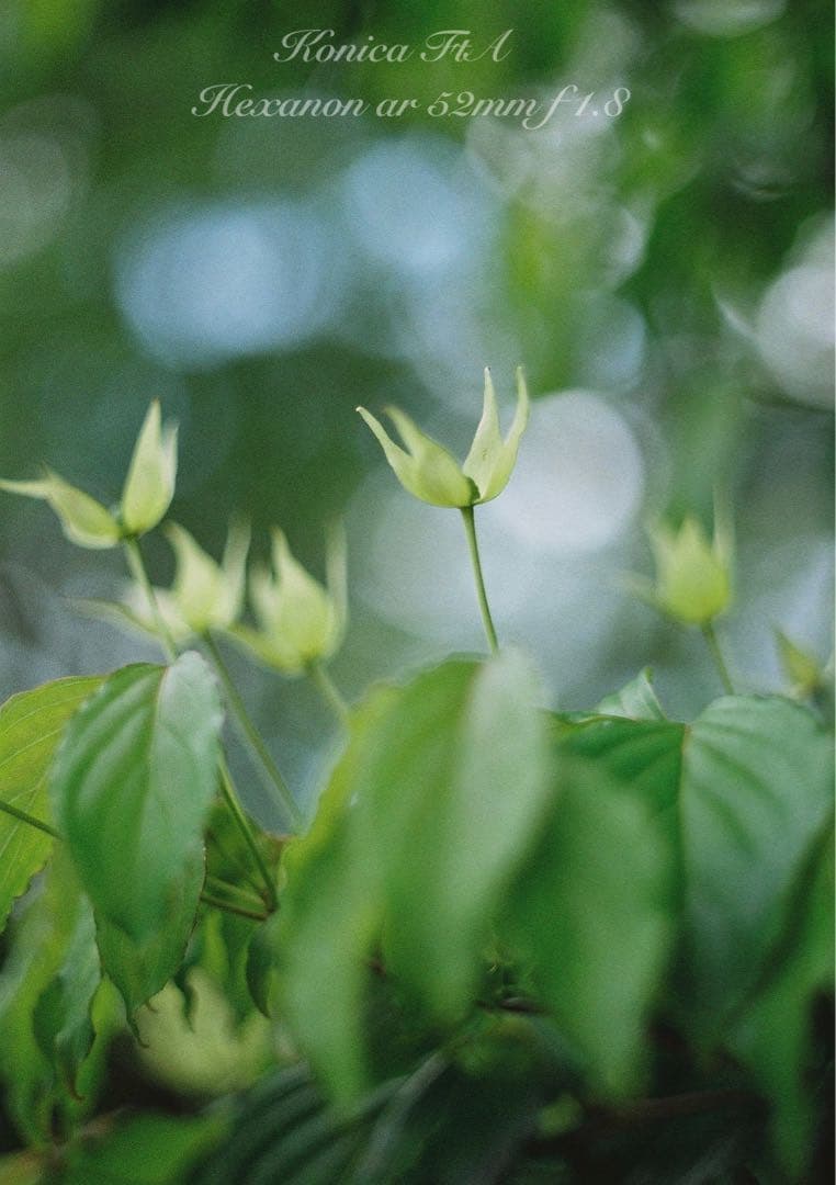 ★完動品＊美品★コニカfta／hexanon 52mm f1.8★初期保証