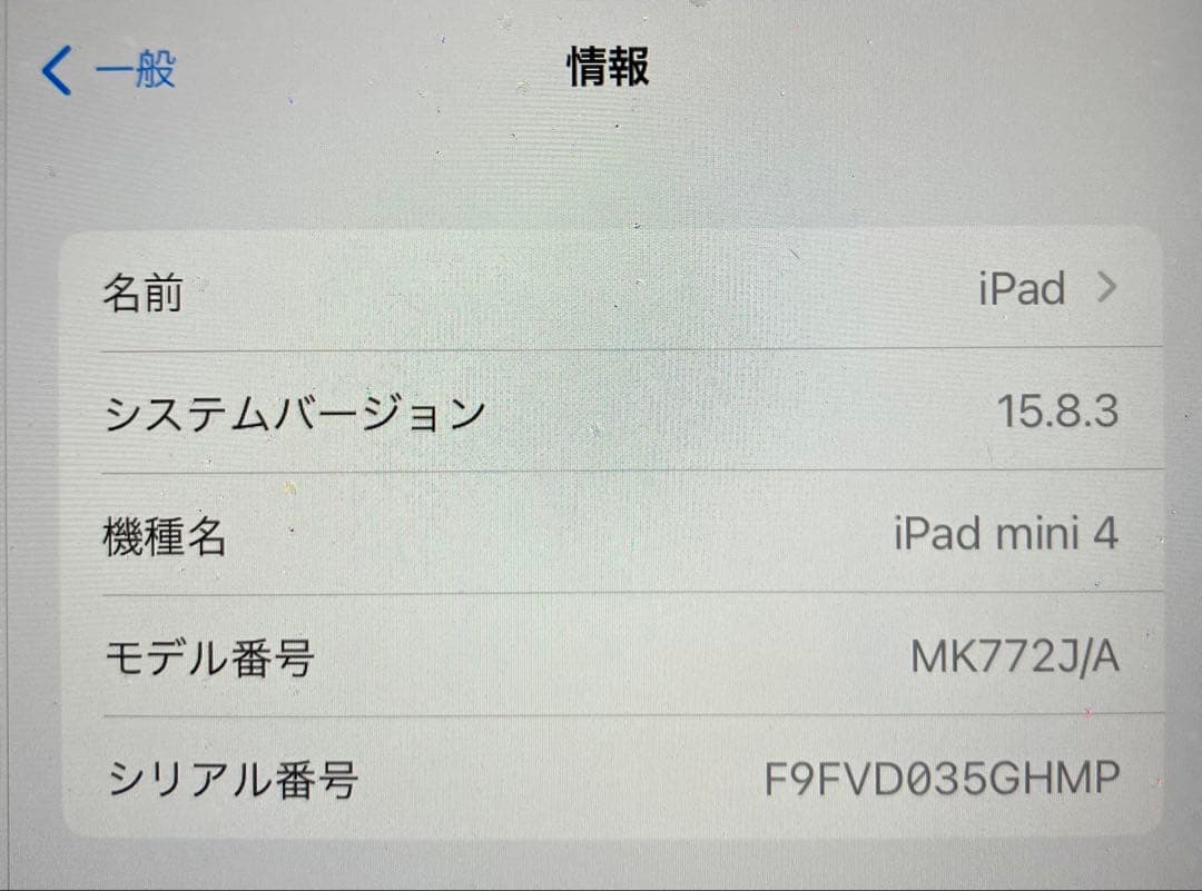 Apple iPad mini 4 本体