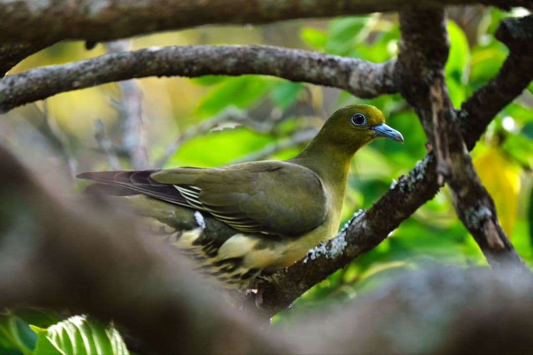 ミ*ン様 富士フィルム XF 100-400mm F4.5-5.6 R LM O
