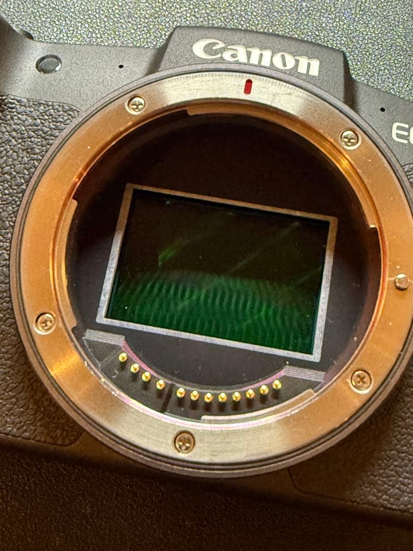 Canon EOS RP ミラーレス一眼 カメラ(本体のみ)