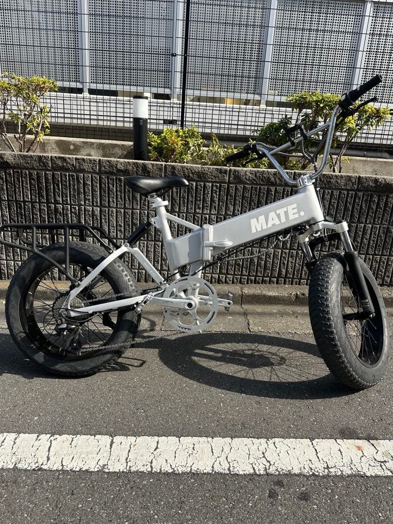 【Mahalo＠即購入OK 専用】MATE X 250 Polar Silver