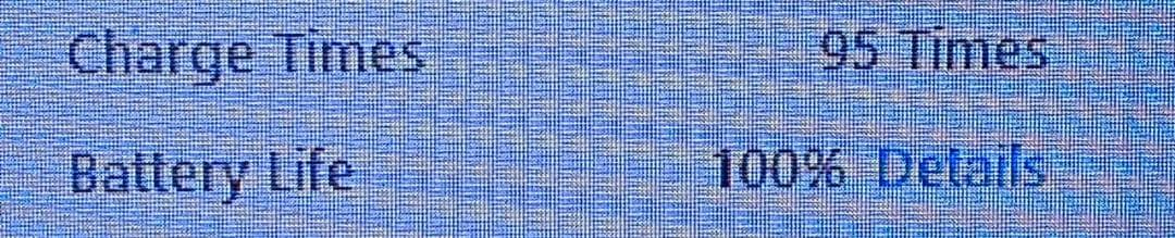 P84 超美品 バッテリー100％ iPad mini 第6世代 256GB