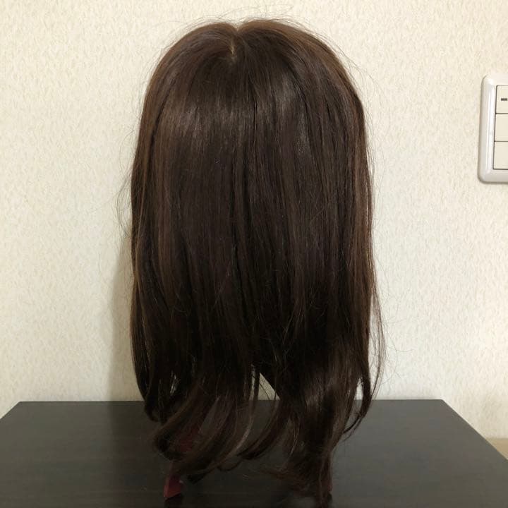 医療用ウィッグ（総手植えフルウィッグ） ブランシュミディCM-26