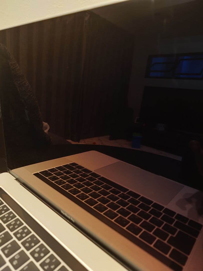 MacBook本体 MacBook Pro 15-inc 2016 16GB 512GB