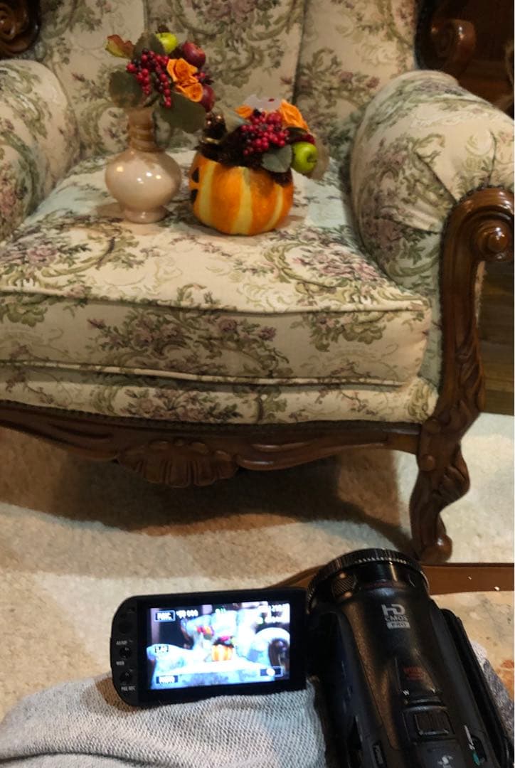 Canon デジタルビデオカメラiVIS HF G20 付属品 映像難有り 値下