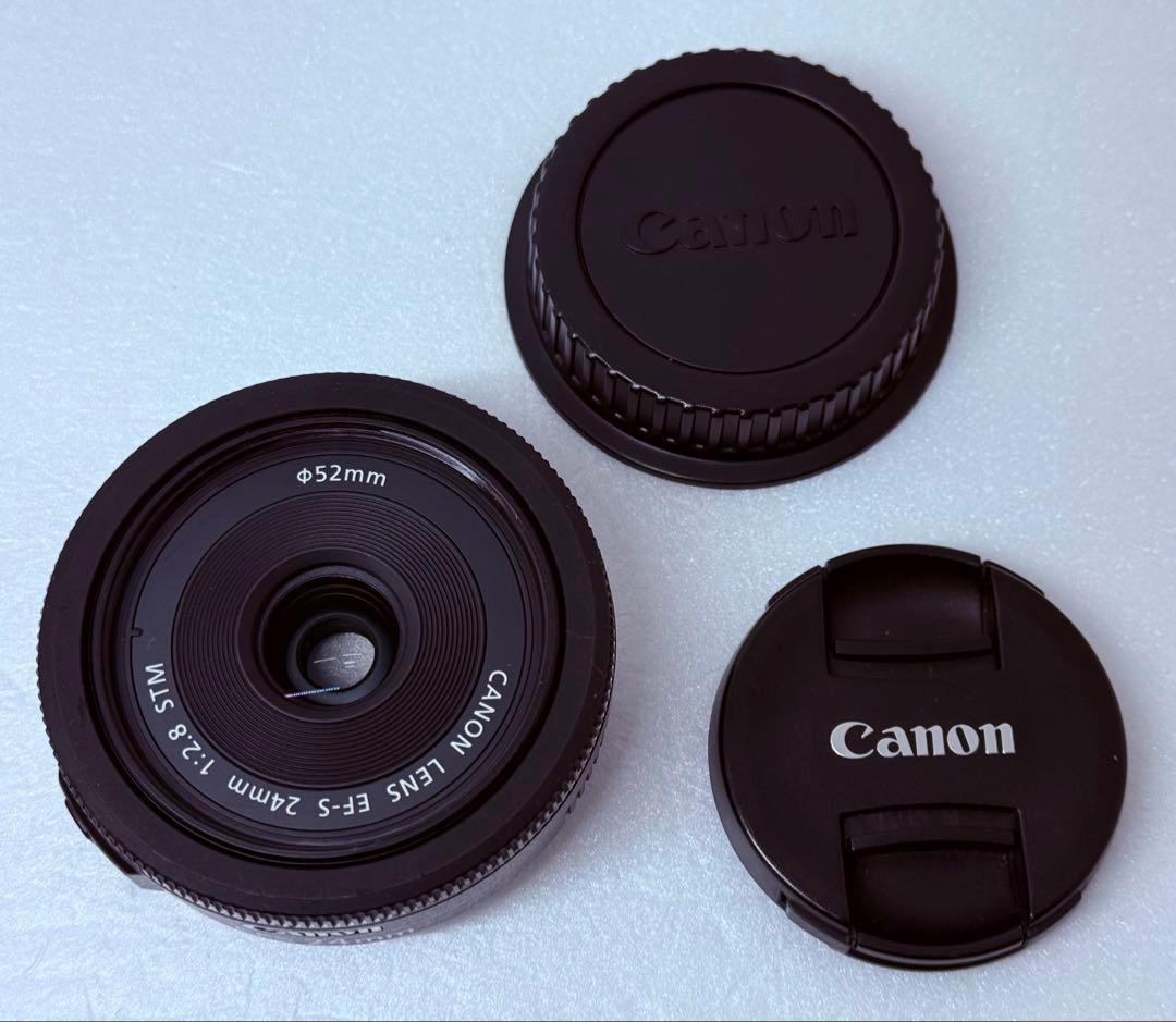Canon EF-S 24mm F2.8 STM 動作確認済 単焦点レンズ