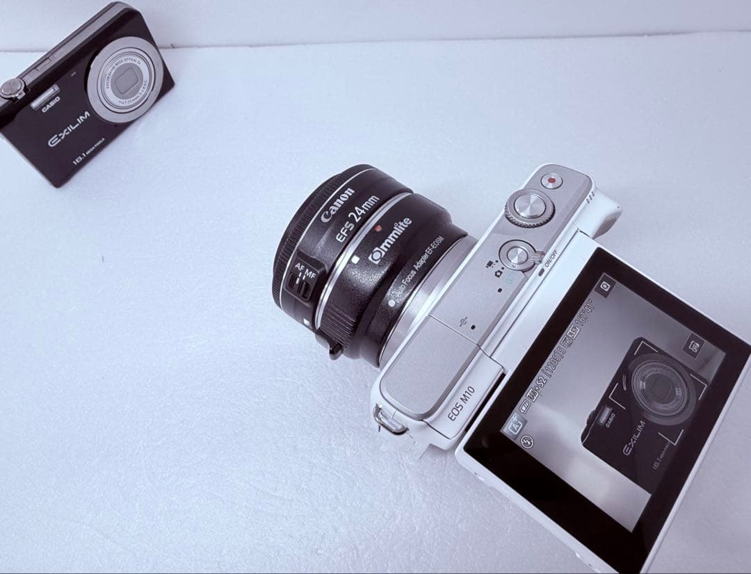 Canon EF-S 24mm F2.8 STM 動作確認済 単焦点レンズ