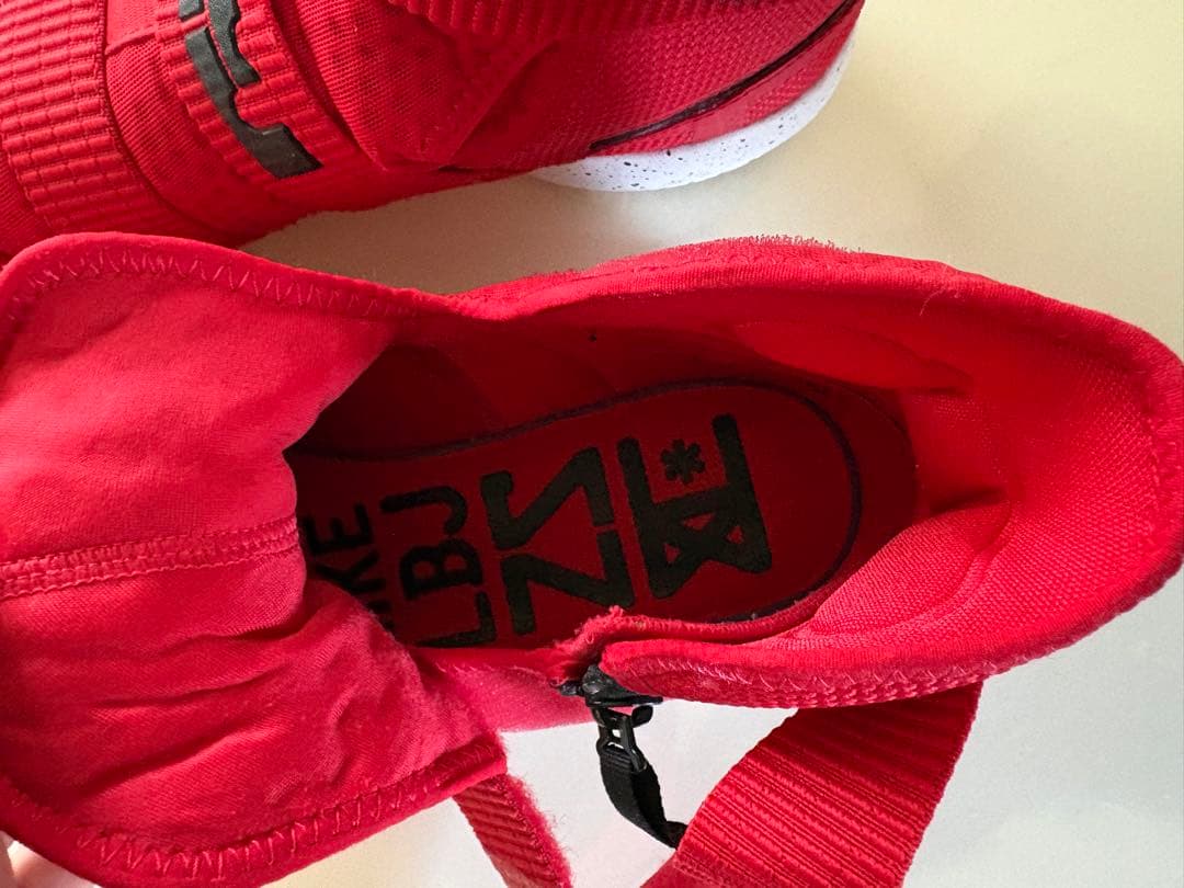 レブロンソルジャー12