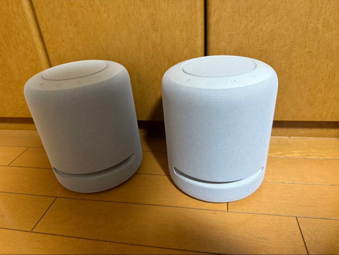 アレクサ　エコースタジオ2個セット
