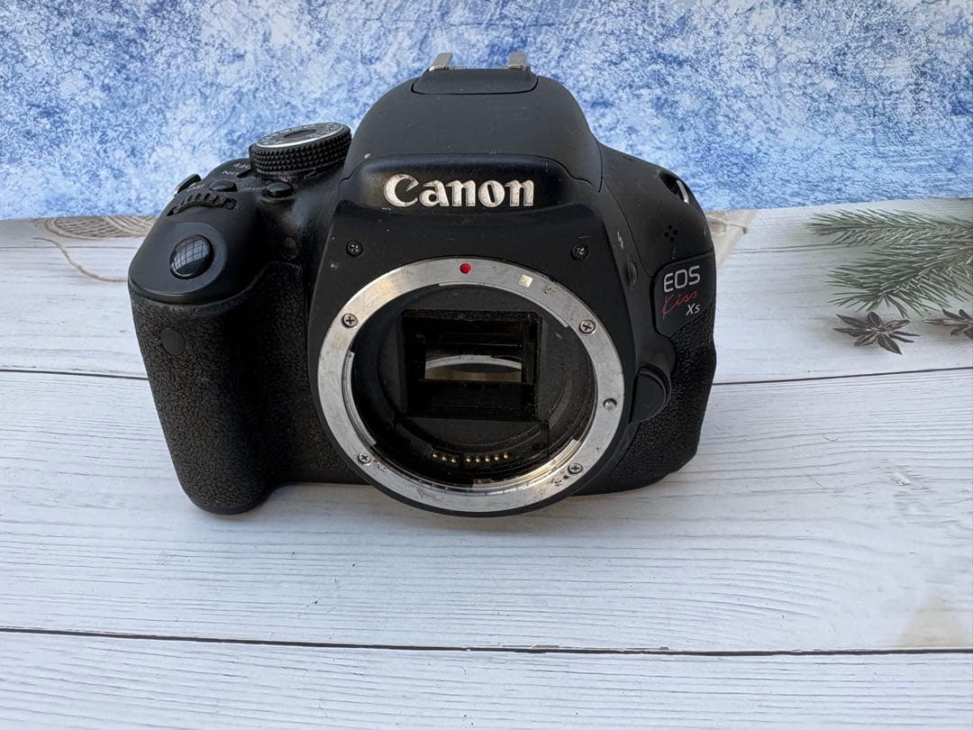 キヤノン EOS Kiss X5 ボディ本体のみ(レ34)