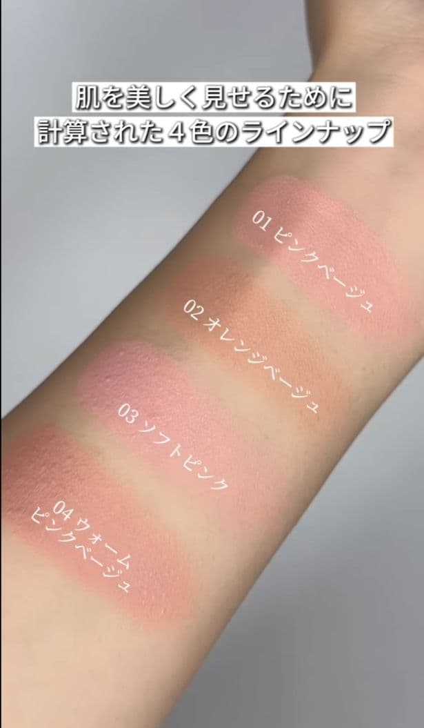 ブリリアージュ カモフラージュコンシーラーチーク ＆ 専用ワイドフィンガーブラシ