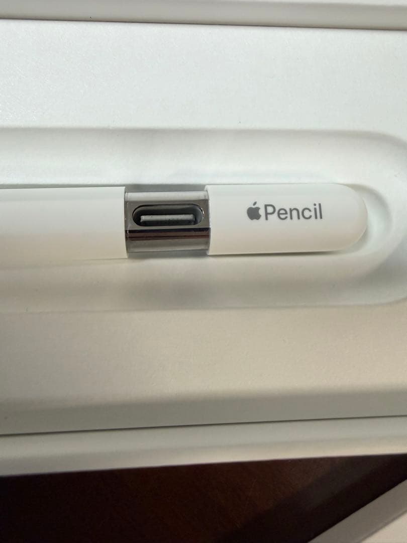 iPadアクセサリー Apple Pencil (USB-C)