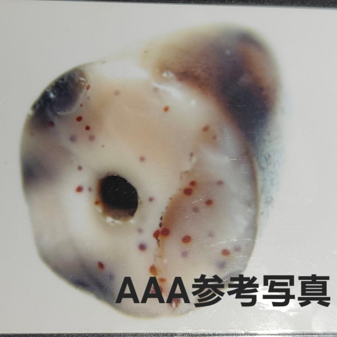 2 老礦天珠　特殊天地　天珠　天然石　風水　御守り　ブレスレット　ネックレス