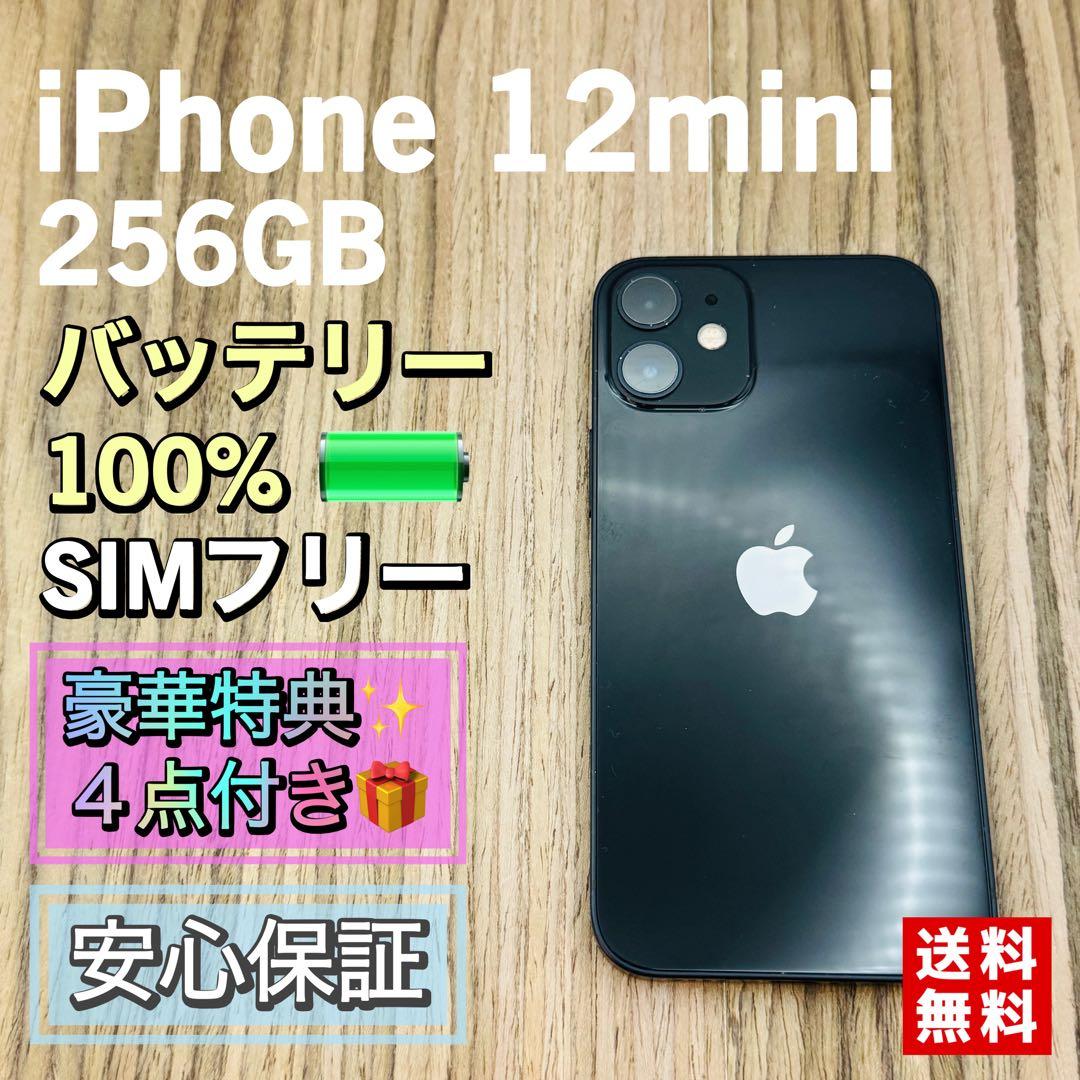 iPhone12mini ブラック 256GB SIMフリー 新品バッテリー