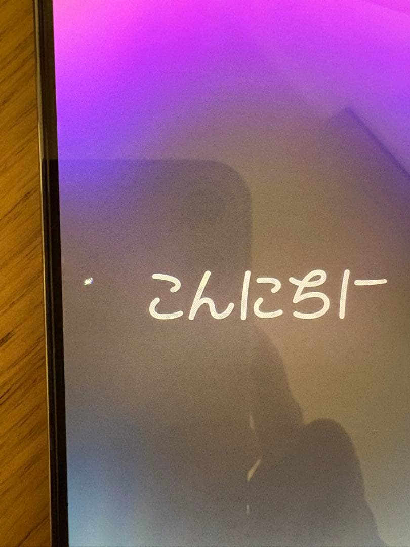 美品ドット欠け Apple iPhone 14 Pro 256gb本体