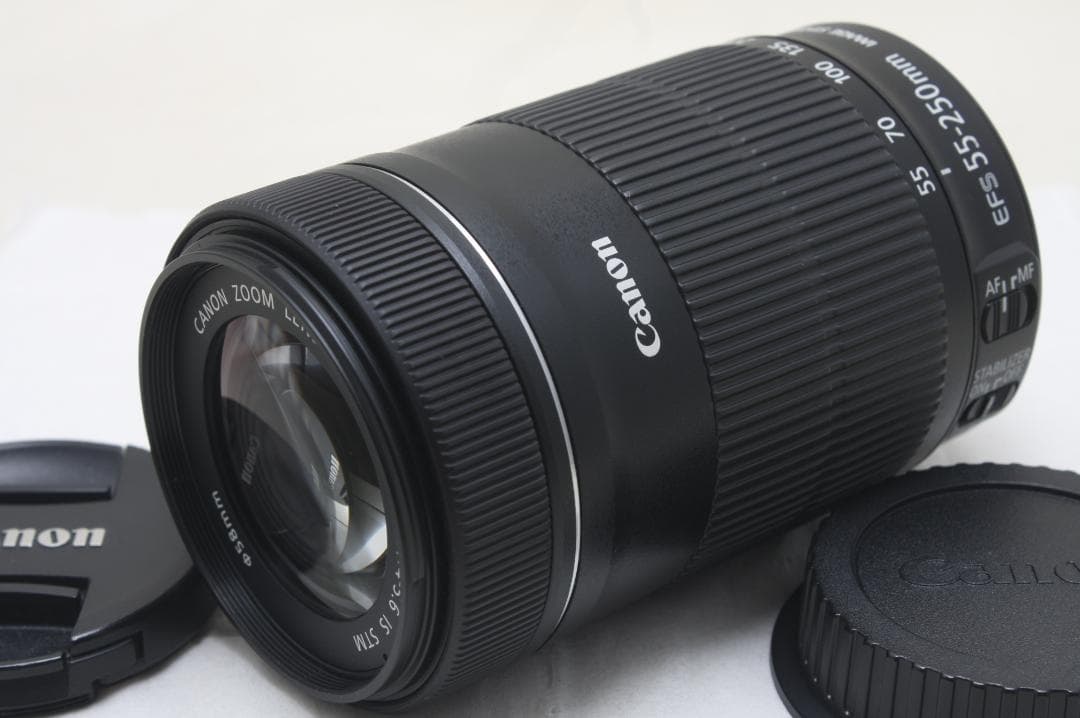 キヤノン EF-S 55-250mm F4-5.6 IS STM 1992