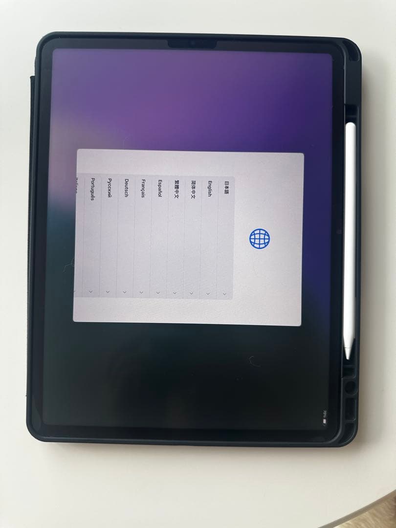 iPad pro (第6世代) Apple Pencil (第2世代)付き