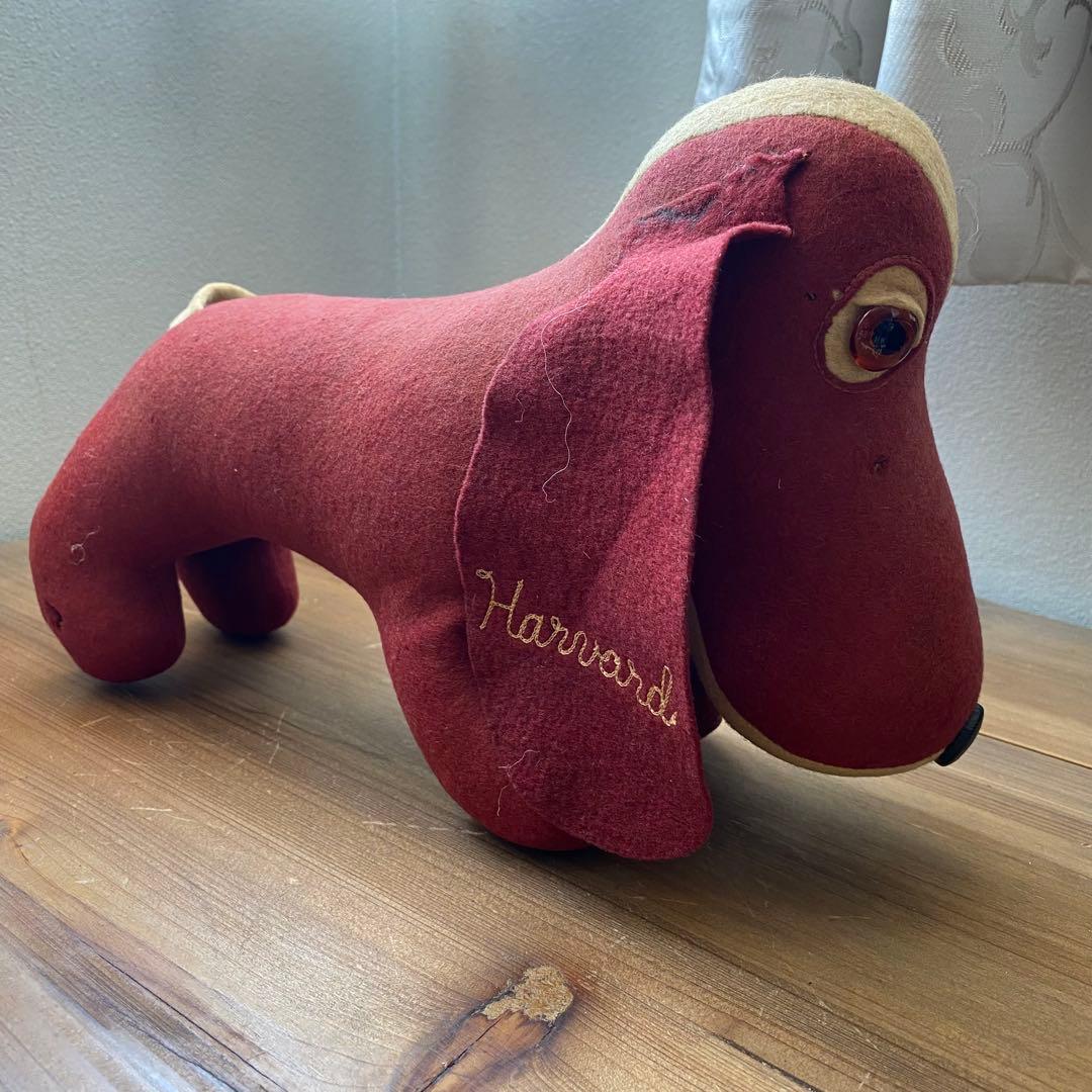 ダックスフンド　ハーバード大学　カレッジドール　カレッジマスコット　ぬいぐるみ