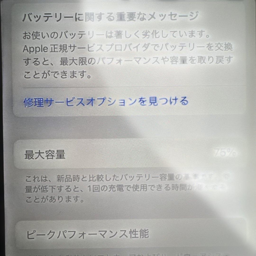 Apple iPhone 12ro パシフィックブルー128G