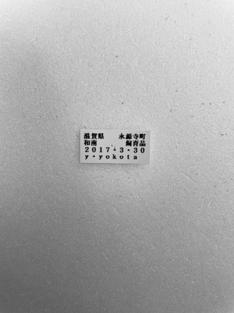 【異常型・赤紋型】ギフチョウ（滋賀県・飼育品）