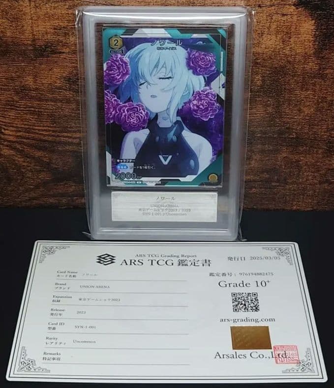 【ARS 10+】ノワール