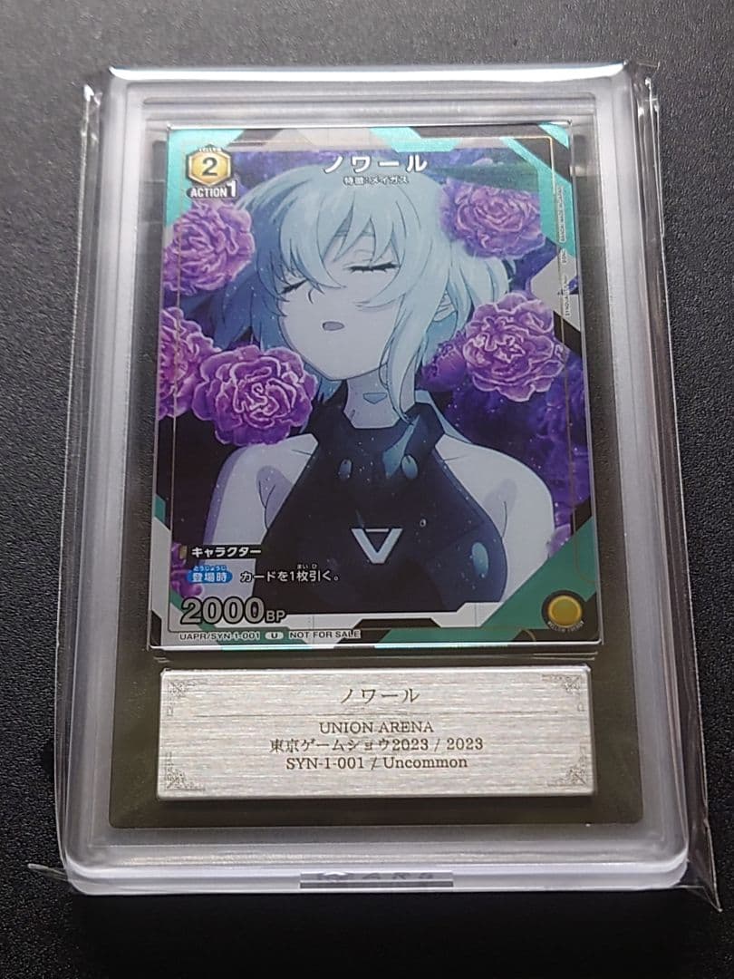 【ARS 10+】ノワール