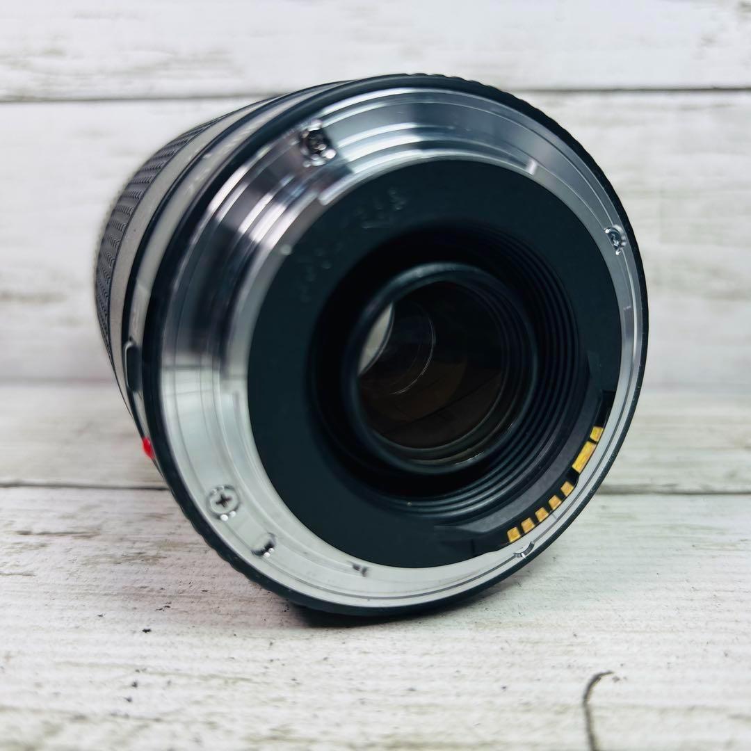 Canon ズームレンズ EF 75-300mm F4-5.6 Ⅲ USM