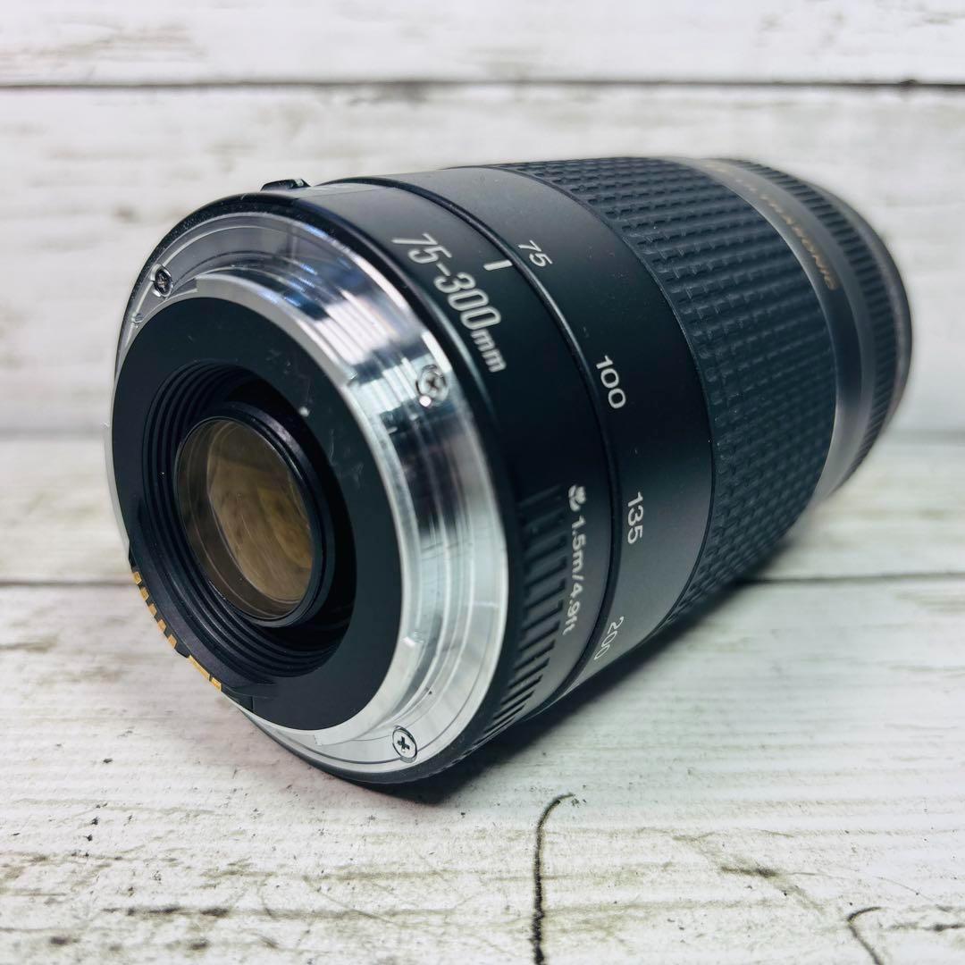 Canon ズームレンズ EF 75-300mm F4-5.6 Ⅲ USM