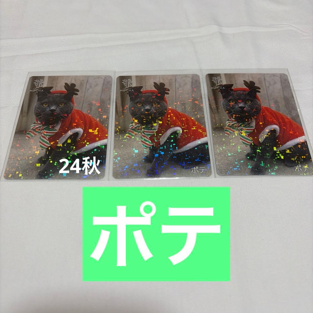 猫カフェ mocha 町田 にゃんずトレカ