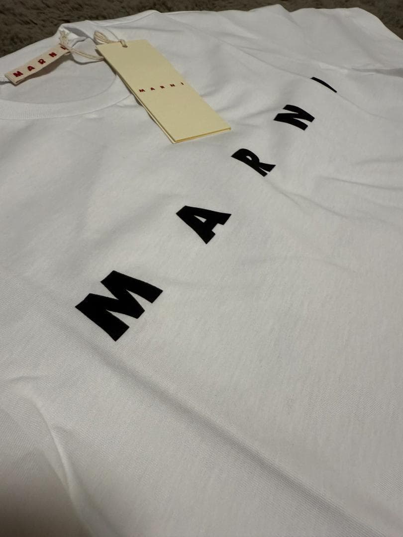 大人もOK！！マルニ　キッズTシャツ　14Y 160cm 新品