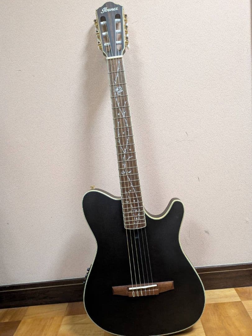 ギター ibanez TOD10N