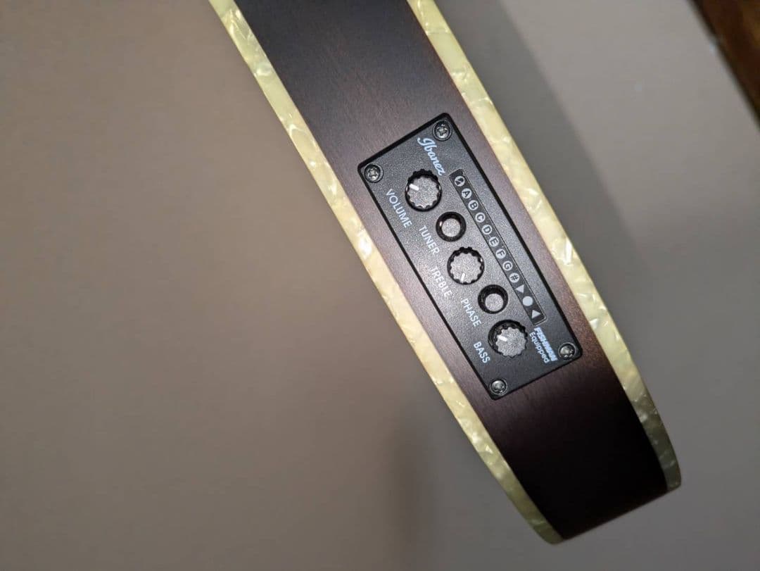 ギター ibanez TOD10N