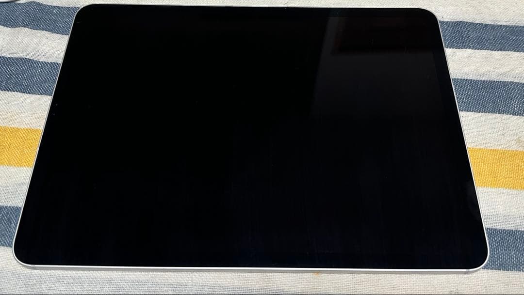 iPad Pro 11インチ (第2世代)