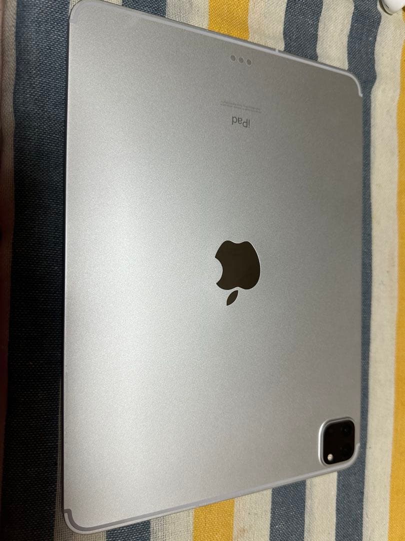 iPad Pro 11インチ (第2世代)