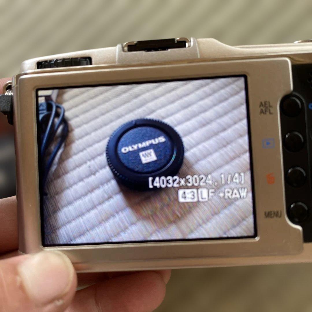 【大人気】 OLYMPUS オリンパス PEN E-P1 ミラーレス一眼カメラ