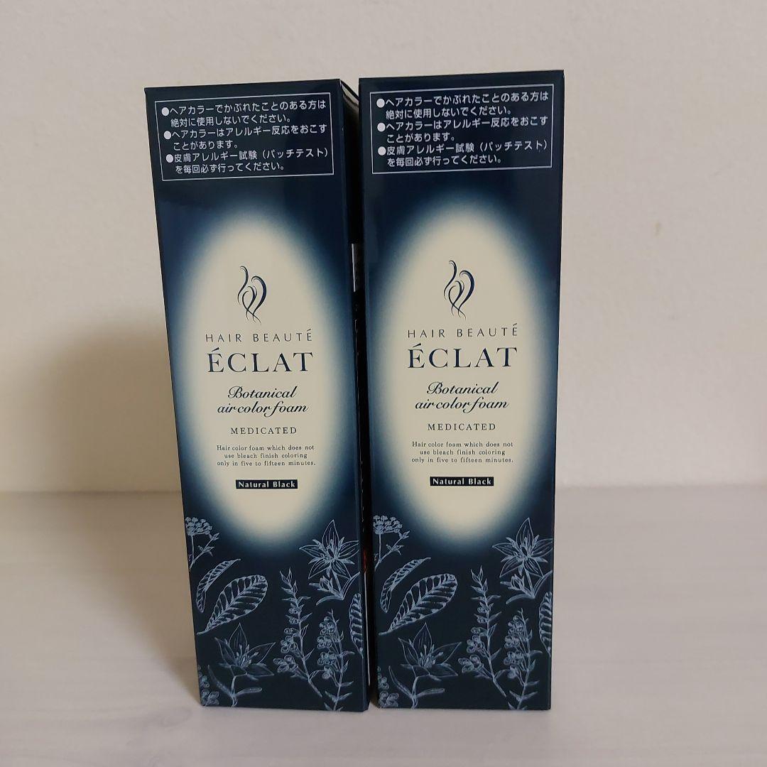 ヘアボーテ　エクラ　ボタニカルエアカラーフォームEX　ブラック　150g 2個