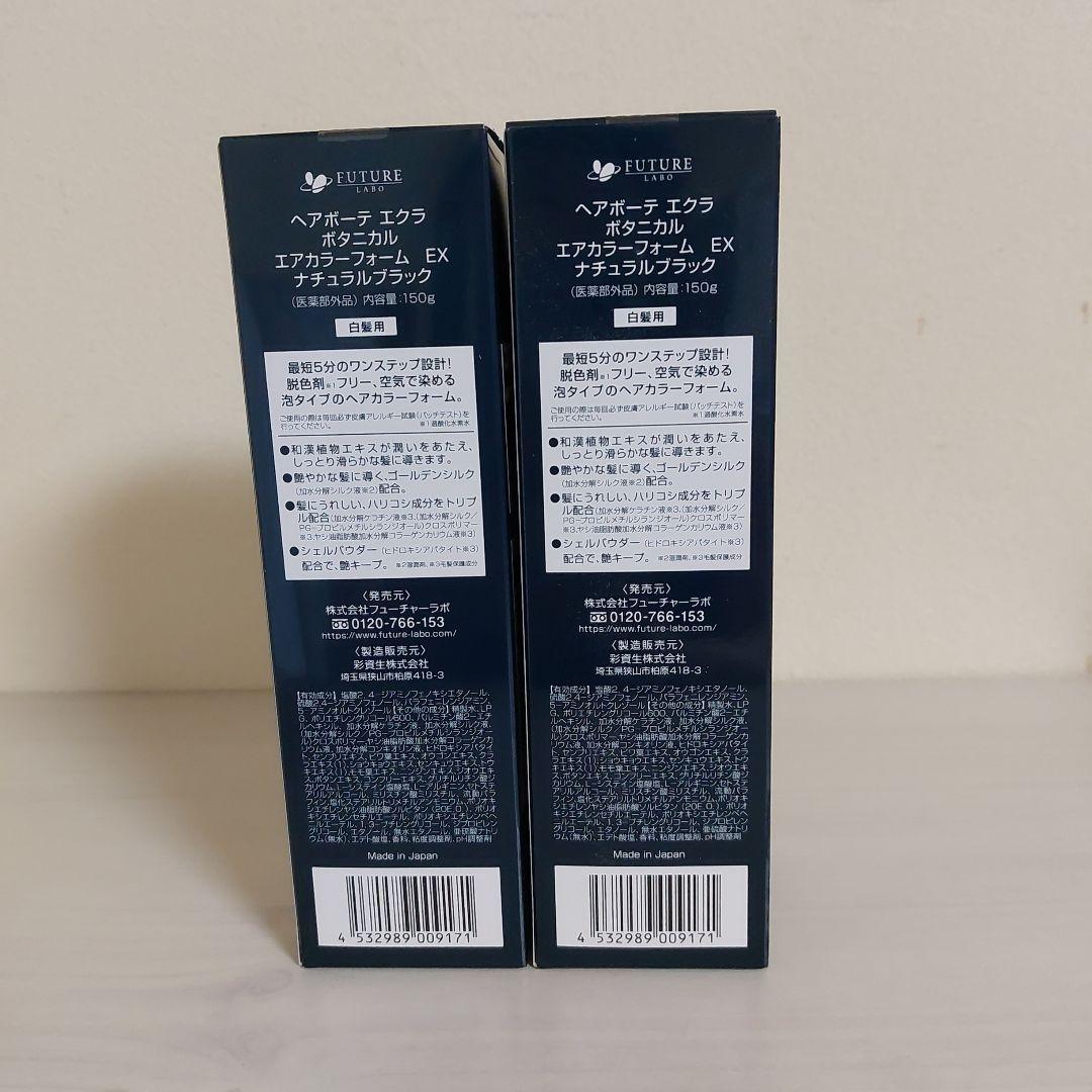 ヘアボーテ　エクラ　ボタニカルエアカラーフォームEX　ブラック　150g 2個