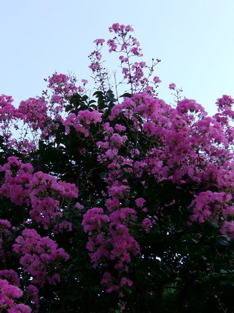 美品　コダックデジカメ　FZ45