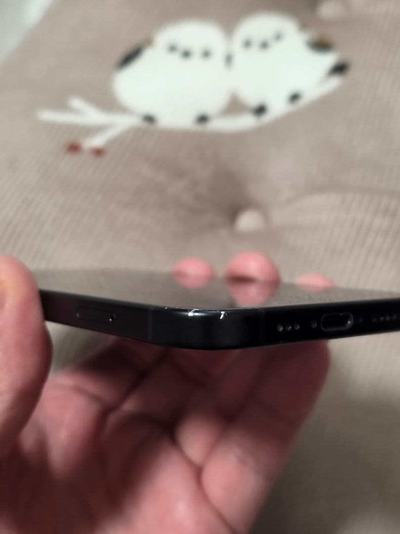 Apple iPhone 1５ ブラック 本体