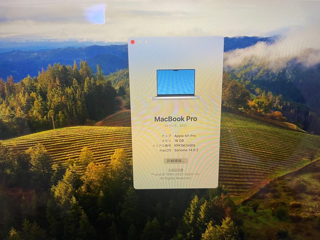 MacBook本体 Apple MacBook Pro 14 M1 Pro/16GB/512GB