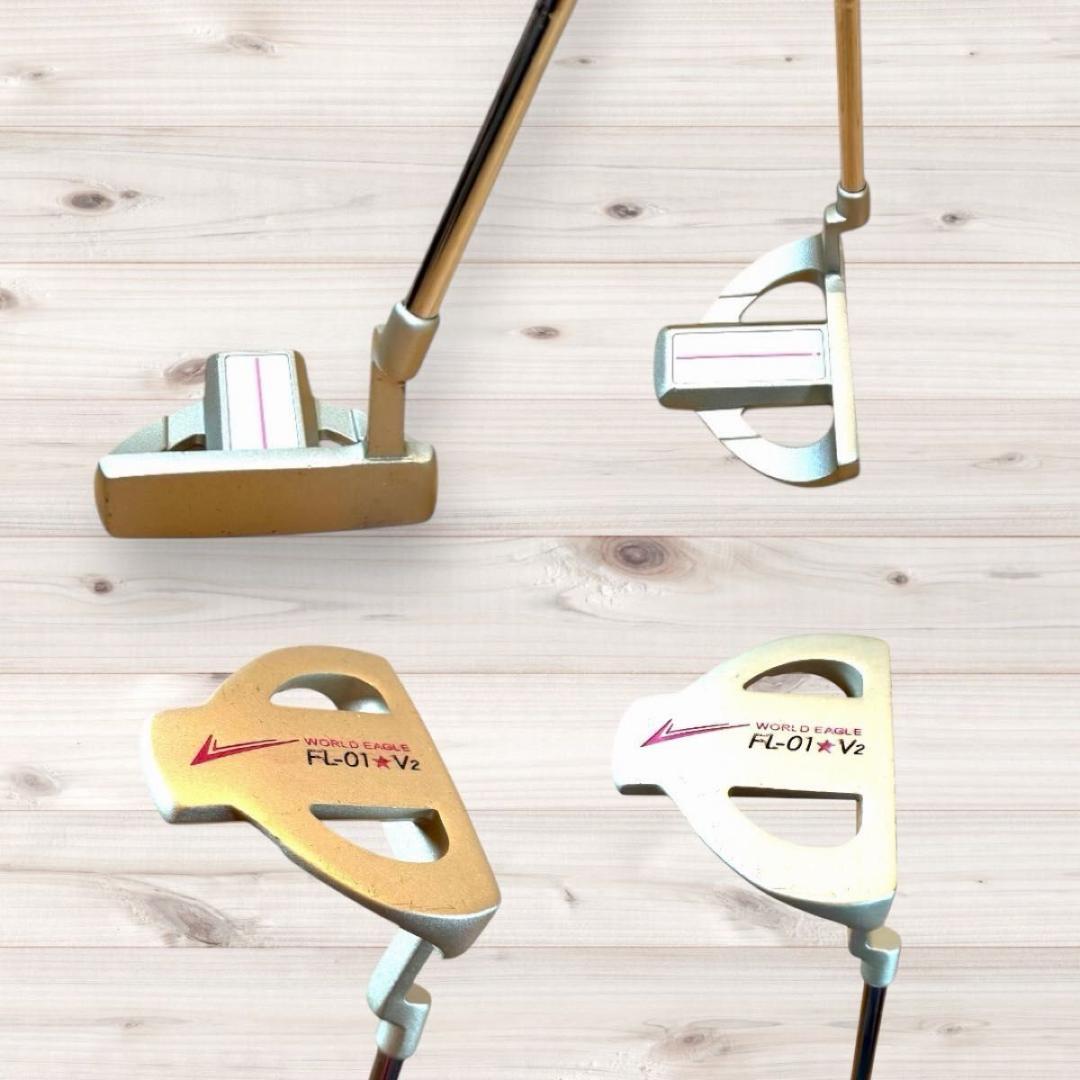 【おまけ付】ワールドイーグル FL-01 V2 10本セット クラブ ゴルフ