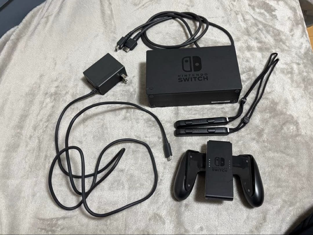Nintendo Switch 本体 グレー,付属品