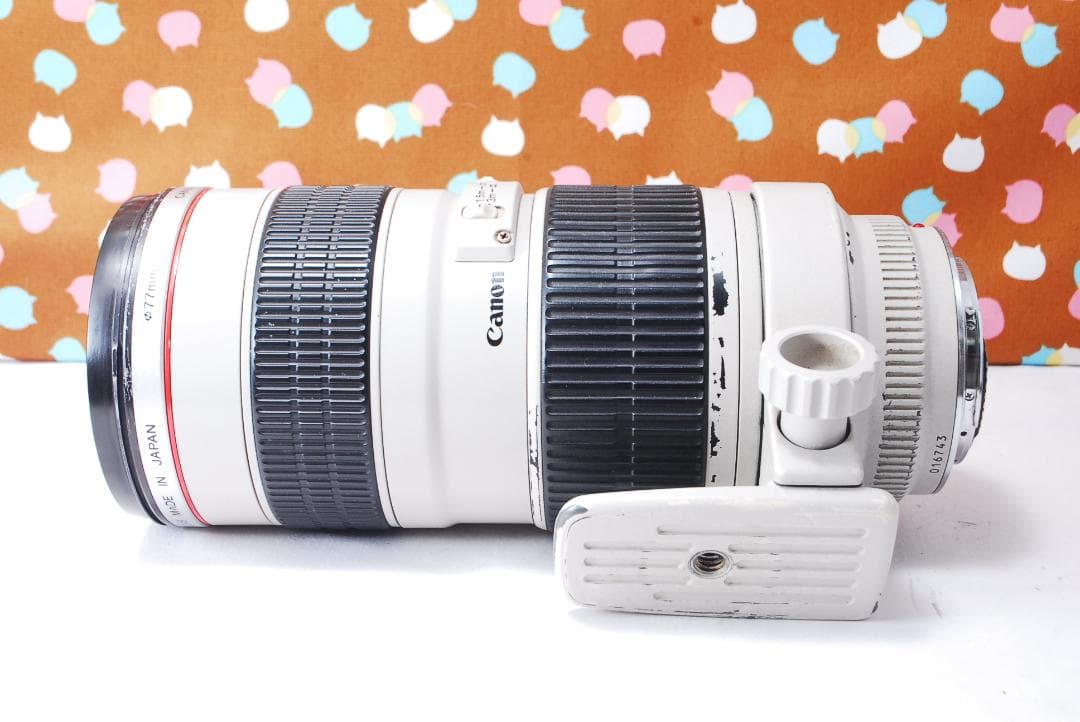 ✨動作良好✨Canon EF 70-200mm F2.8 L
