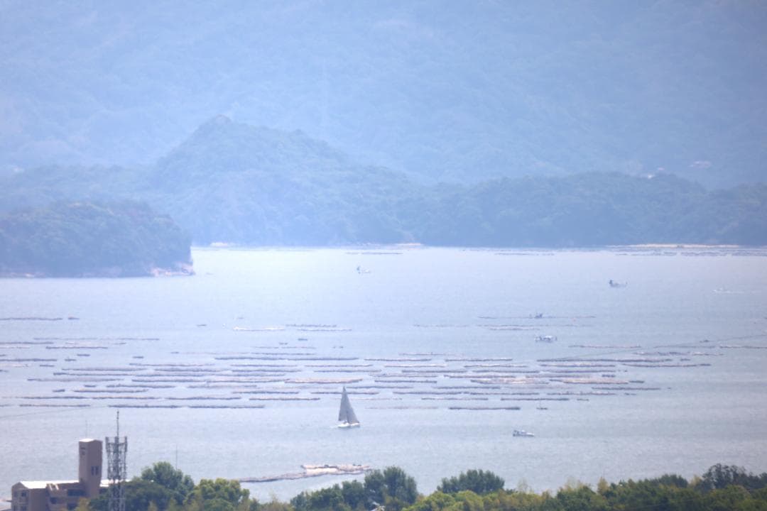 デジタルカメラ Canon RF 800mm F11 IS STM