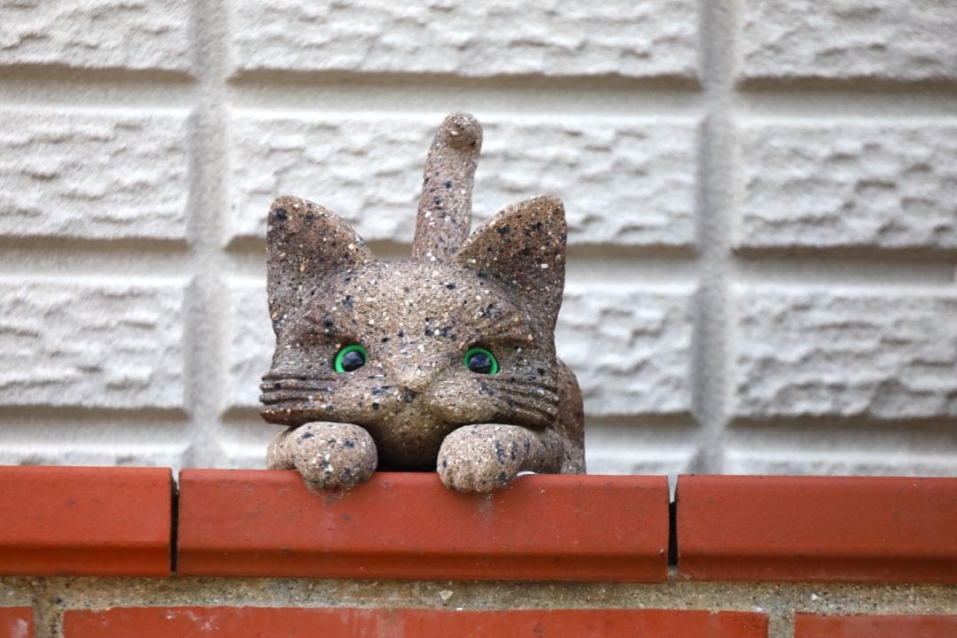 デジタルカメラ Canon RF 800mm F11 IS STM