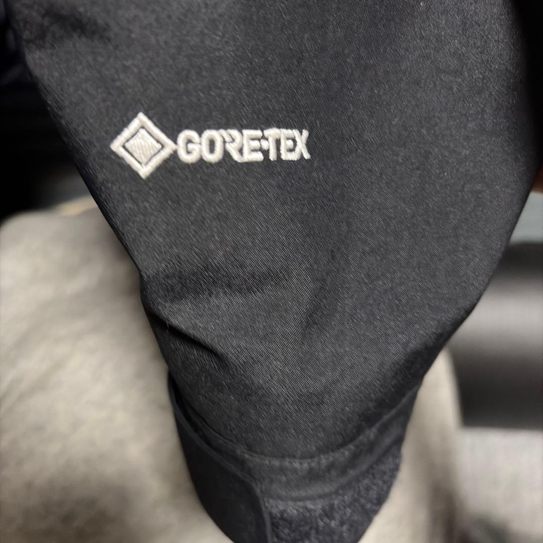 ノースフェイス マウンテンパーカー NP61800 Lサイズ ゴアテックス