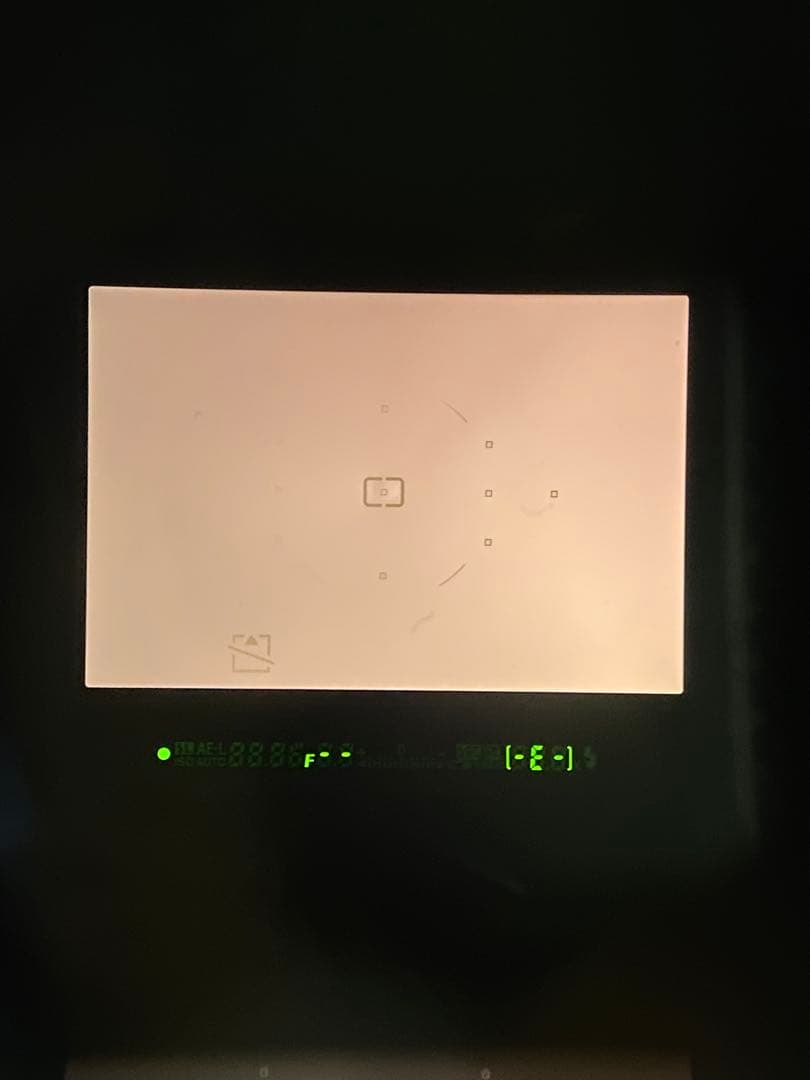 Nikon D80 デジタル一眼レフ　ボディとバッテリー