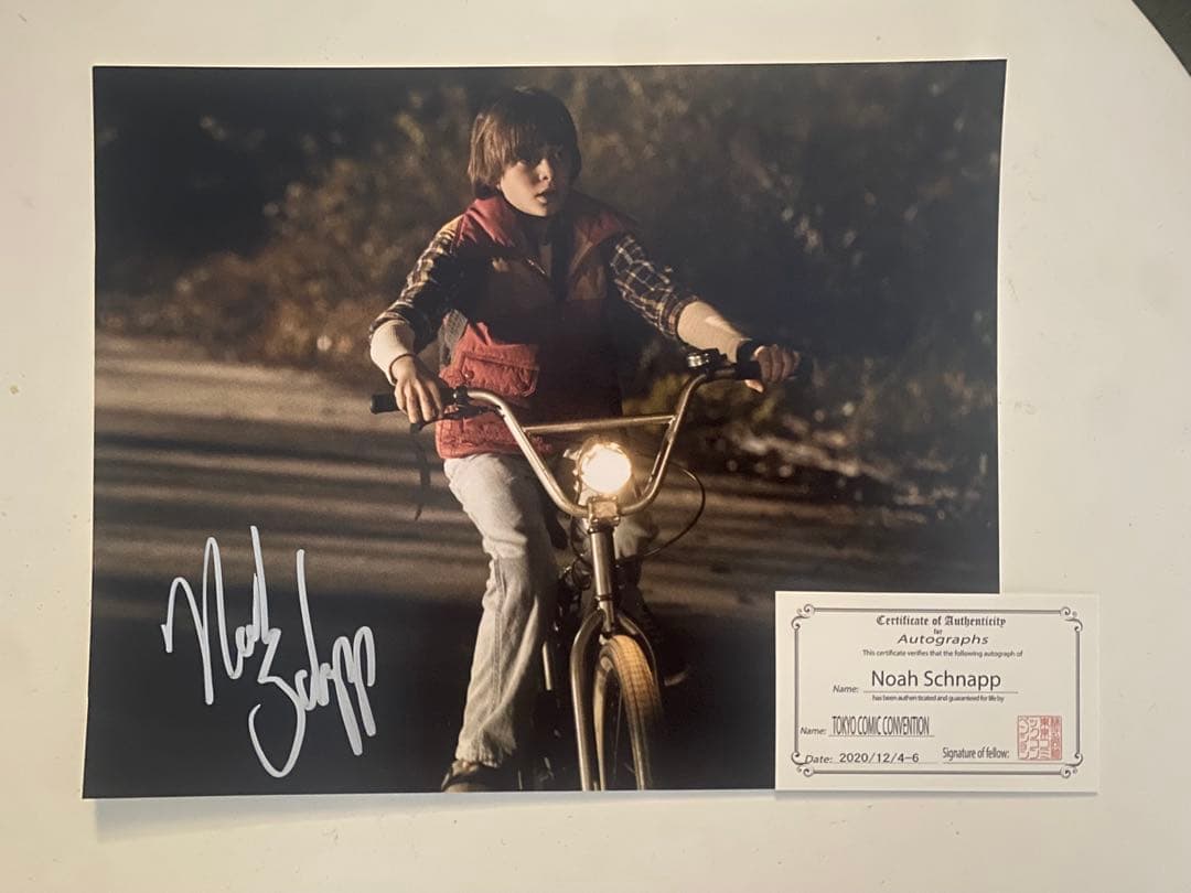 ストレンジャーシングス　ノア•シュナップ サイン入り写真