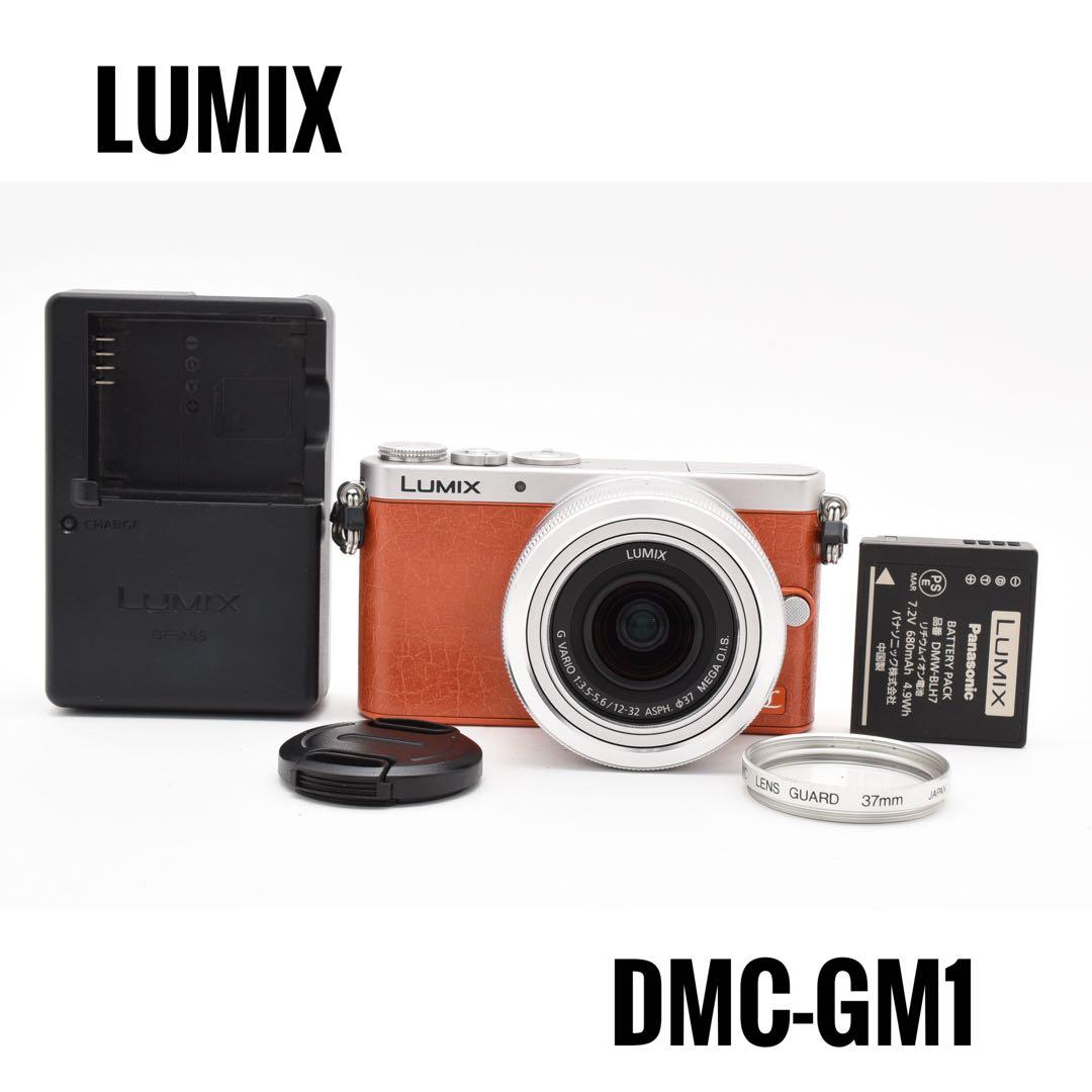 【美品】パナソニック LUMIX DMC-GM1 ミラーレス一眼カメラ